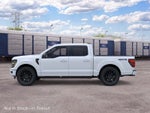 2026 Ford F-150 XLT Black Appearance Package Plus