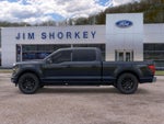 2026 Ford F-150 XLT Black Appearance Package Plus