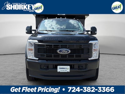 2026 Ford F-600SD XL DRW 4x2 / 7.3L V8 / 11'7" Steel Dump