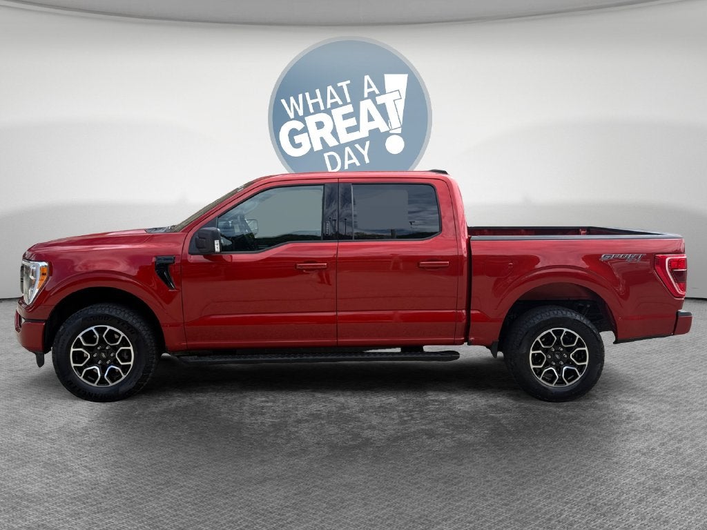 2023 Ford F-150 XLT - Photo 7