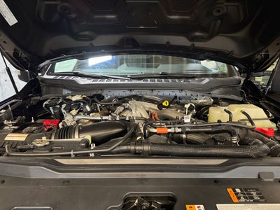 2025 Ford F-350SD XL STX 4x4 / 6.7L HO Diesel / 8' Bed