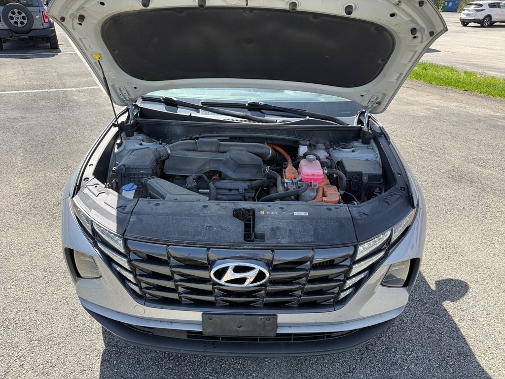 2024 Hyundai Tucson Hybrid Blue